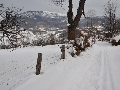 Foto Pe urmele saniei (c) Lucian Petru Goja